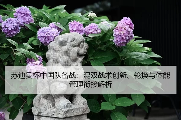 su-di-man-bei-zhong-guo-dui-bei-zhan-hun-shuang-zhan-shu-chuang-xin-lun-huan-yu-ti-neng-guan-li-xian-jie-jie-xi-2-839.jpg