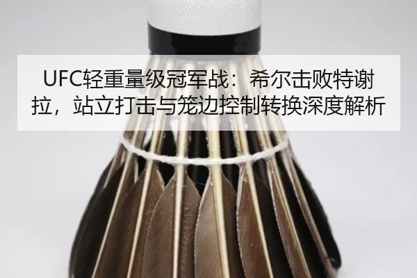 qing-zhong-liang-ji-guan-jun-zhan-xi-er-ji-bai-te-xie-la-zhan-li-da-ji-yu-long-bian-kong-zhi-zhuan-huan-shen-du-jie-xi-2-843.jpg